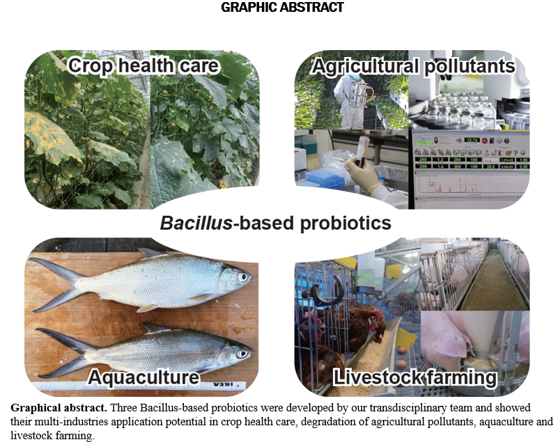 Multiple Functions Of Bacillus Biocontrol Agents For Agricultural Production Asia Pacific